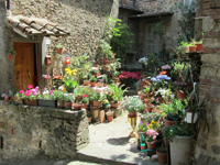 umbria---truffled cheese souffle